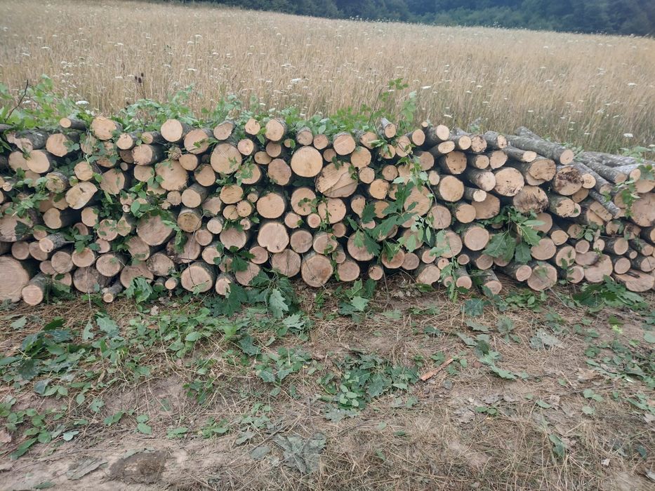 Lemne de foc pentru