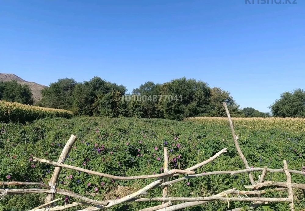 Үй сатылады! Қора жайы толық