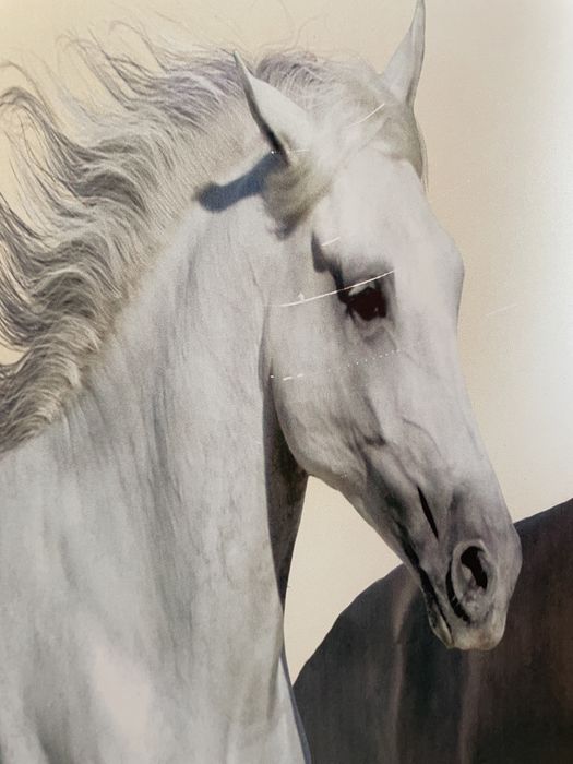 Картина сатылады