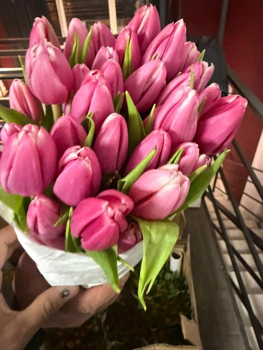 Оптом тьюлпаны всех сортов