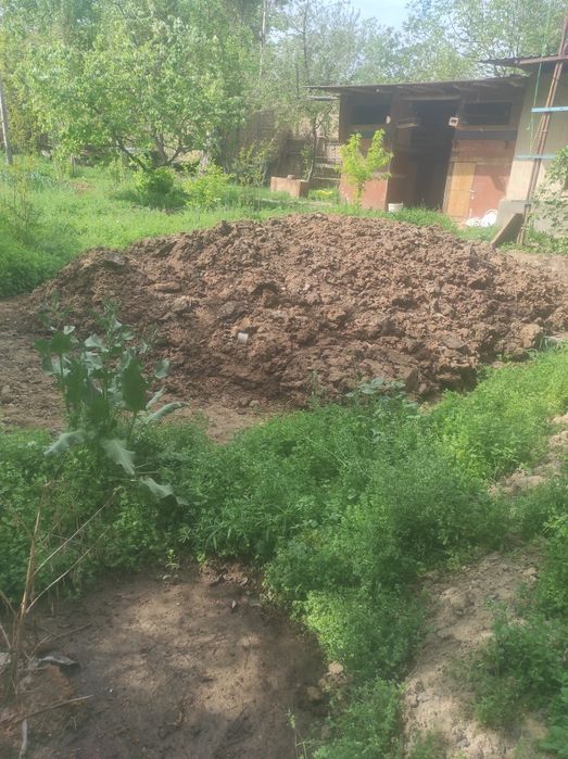 Mol goʻngi tekinga bervoriladi