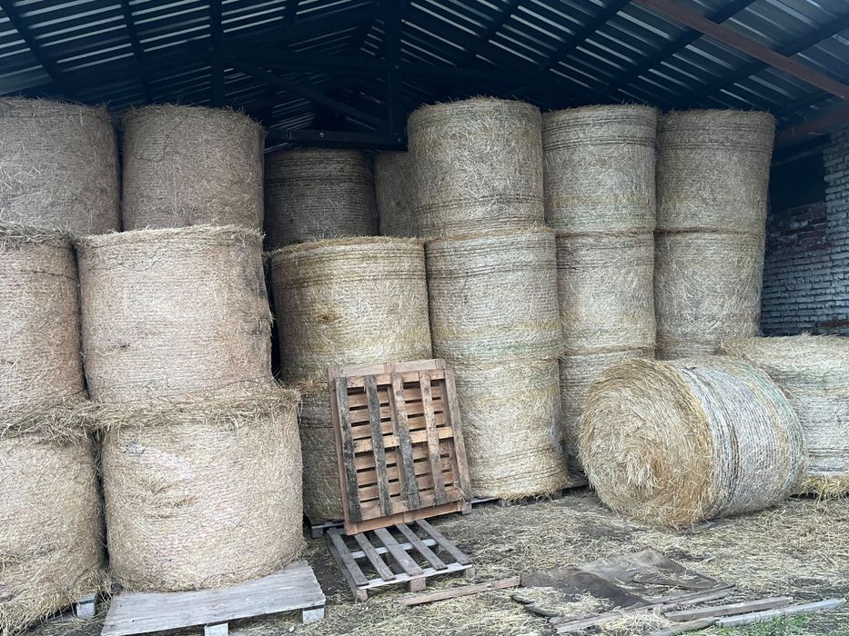 Бали люцерна и слама