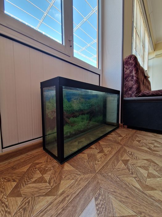 Аквариум сотилади