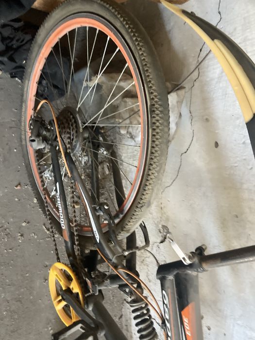 Велик бу барс буб