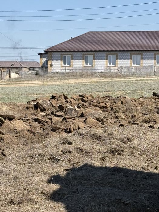 Бесплатный навоз