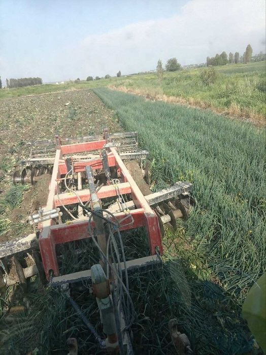 Дисковая барана Карас