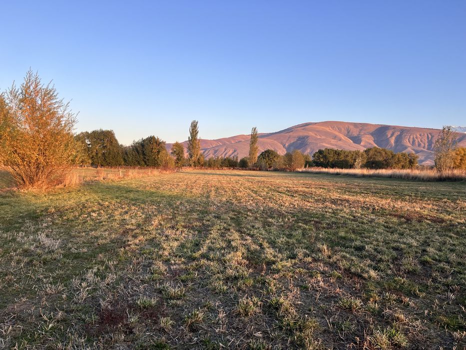 Земельный участо 0.5 га