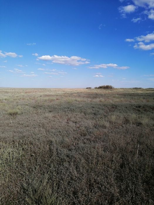 Сдам  землю под пашню