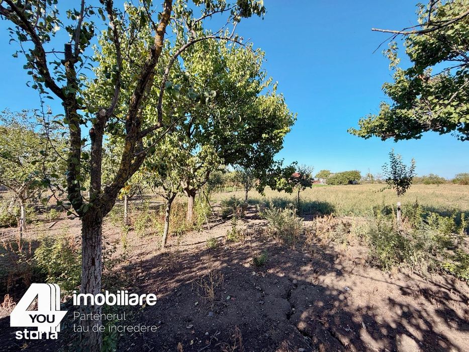 Proprietate în Țipari,formată din casă cu anexe+teren intravilan2880mp