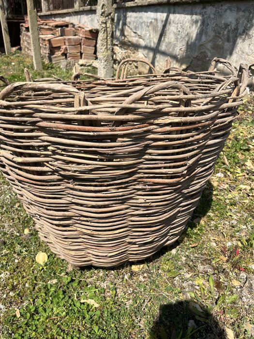 Стара Кошница два броя