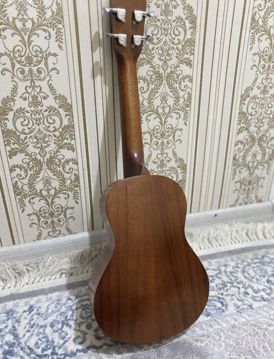 Укулеле профф концерт