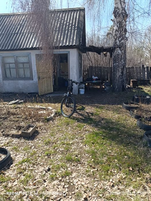 Продам дачу, садоводство яблонька