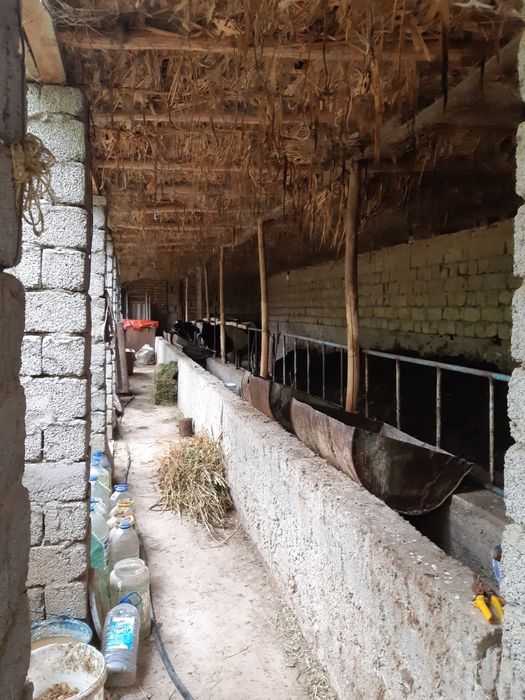 Nazarbekda uy sotiladi