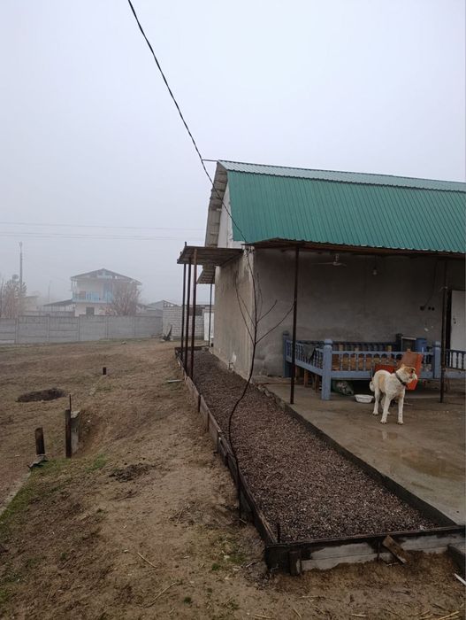 дача в Ташкентской области