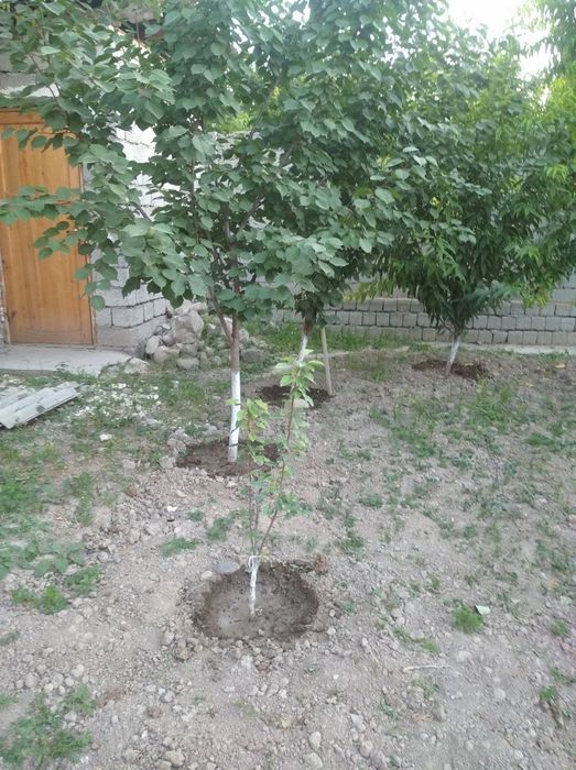 Продаётся Участок!!!