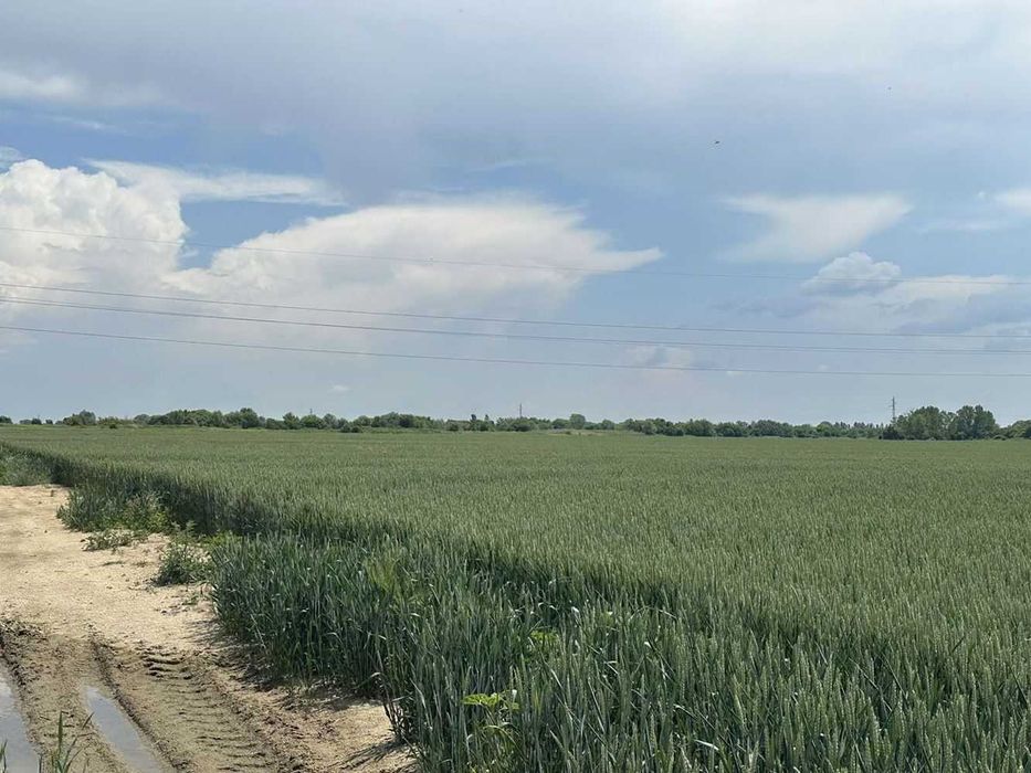 Продава се Парцел в Пловдив, Индустриална зона - Север - 33534 кв.м за 15 €/кв.м - Снимка #10