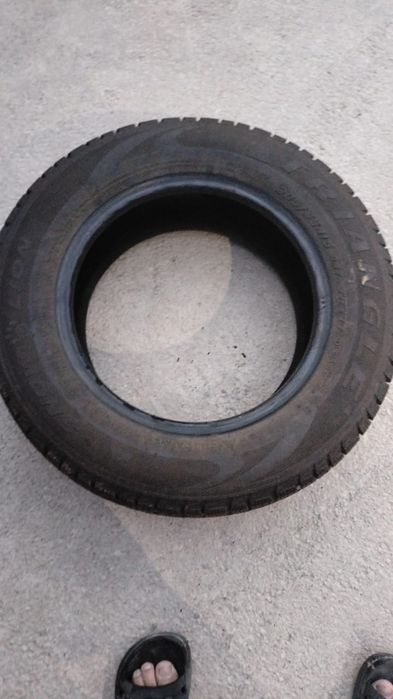 Продам покрышки зимние