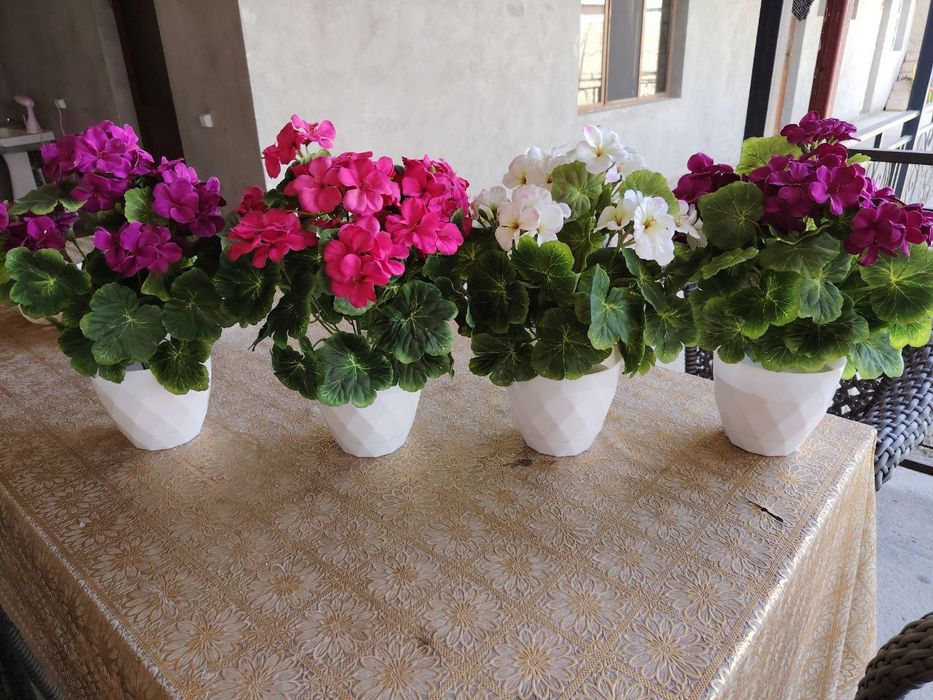 Оптим нархда суний гуллар