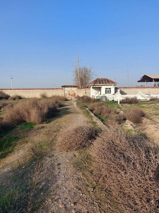 Чинозда ер сотилади 2.4 гектар