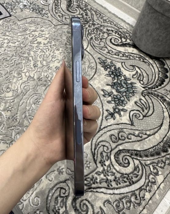 Iphone 13 Pro Max ideal