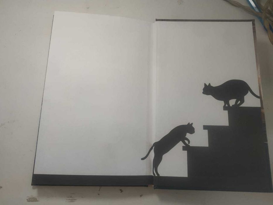 Книга "Она и ее кот"