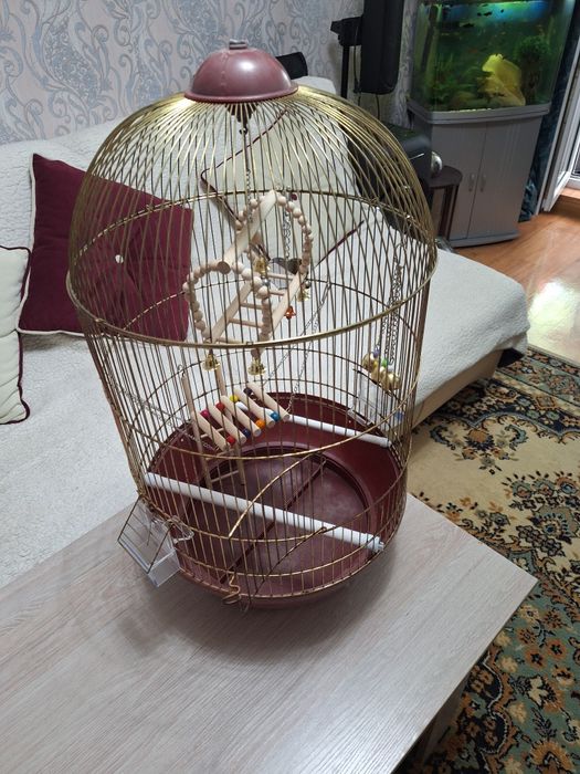 Продам птичек и клетки