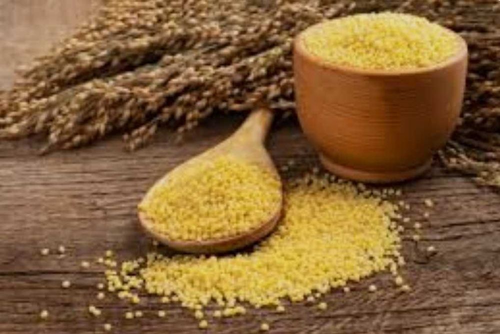 Тарыдан жасалған Боза