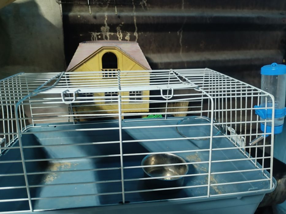 Клетка для грызуна