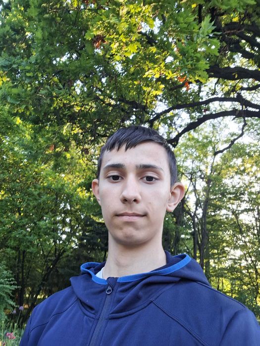 Pregatire Informatica Online/Domiciliu