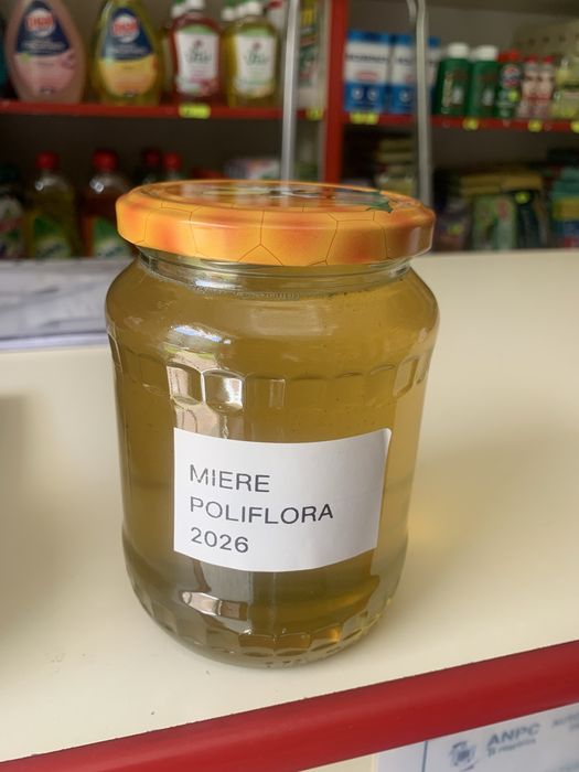 Miere poliflora/rapița-bio