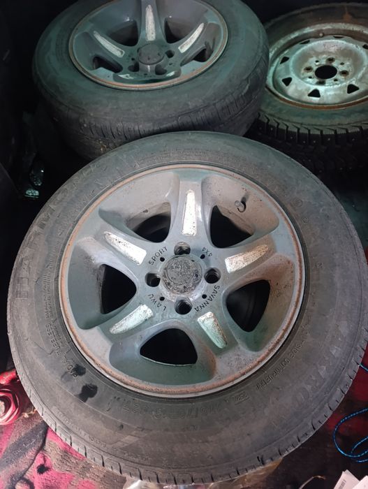 Арбузы. R13 на лете