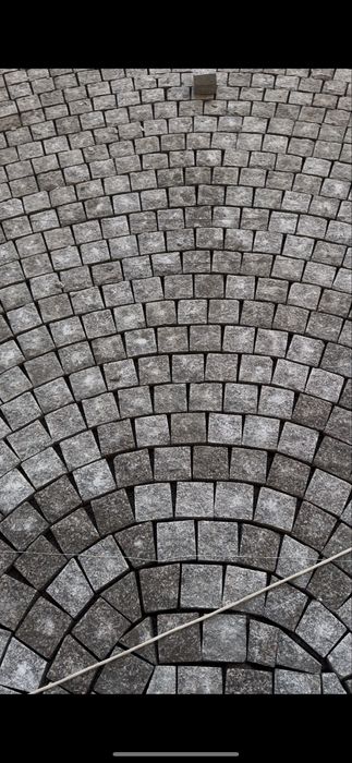 Bruchatka Koksaroy kolitiy