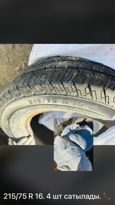 Коп журилмеген покырышкалар сатылымда
