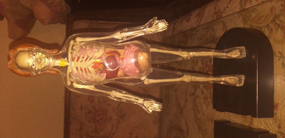 Colectia completa Corpul Uman