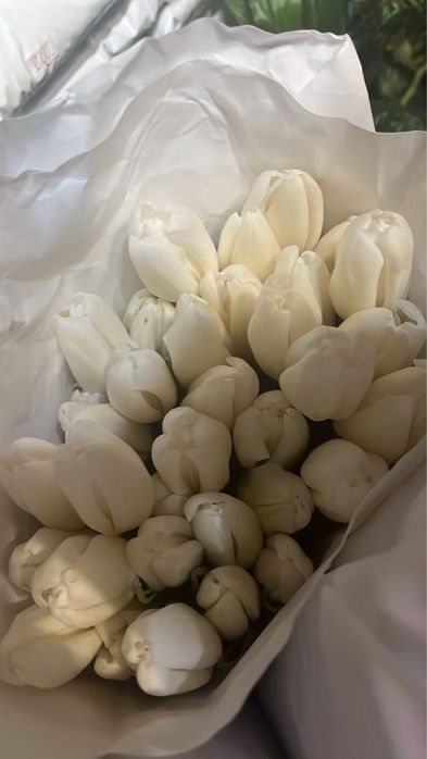 тюльпаны Астана высококачественные