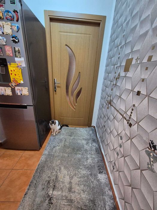Schimb apartament 2 camere Vlaicu