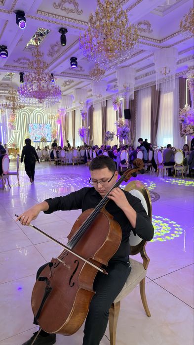 Виолончелист на Ваш праздник