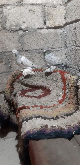 Продаются мраморные