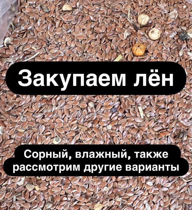Закупаем лен  коричневый,золотистый подработанный,сорный