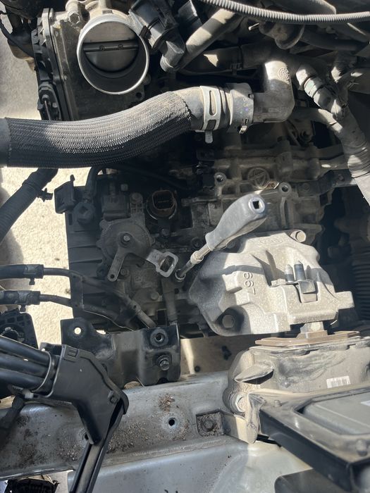 Каровка соната лф