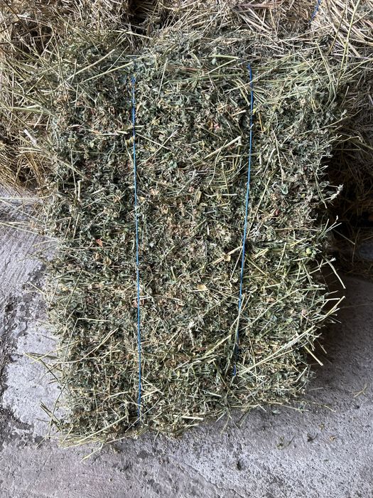 Baloti de lucerna de vanzare