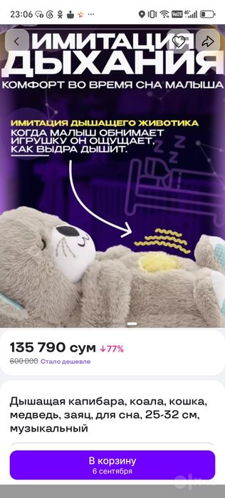 Скидка. Музыкальная выдра для сна.