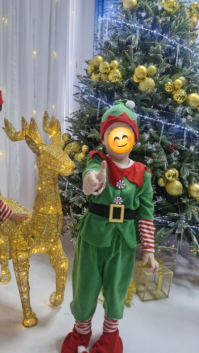 Продам Костюм эльфа