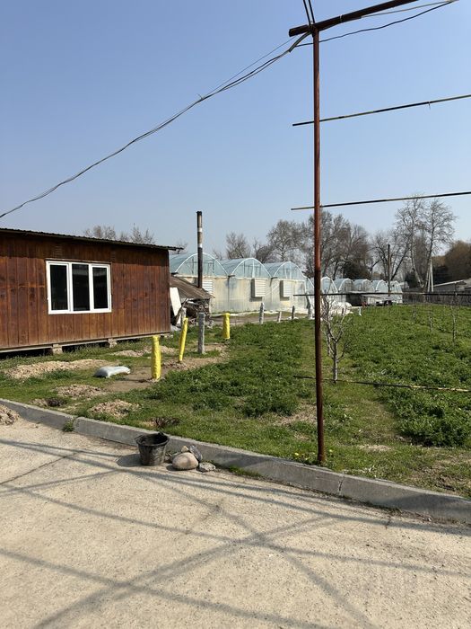 Xasanboy kensoyda yer soʻtigi 6000 dan