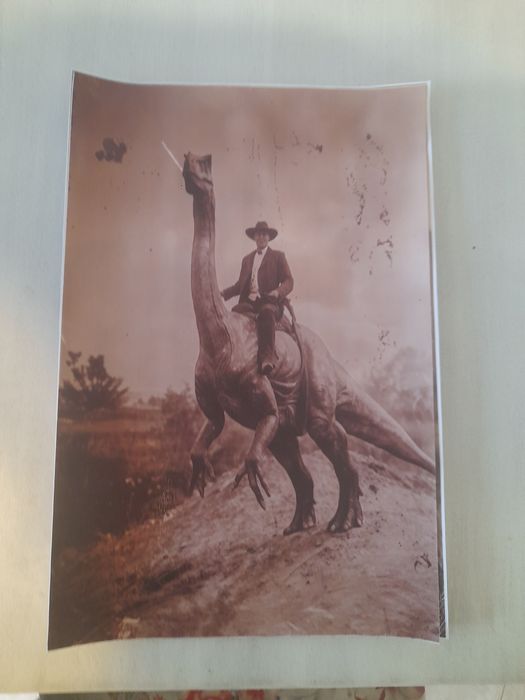 Декоративни картини - винил