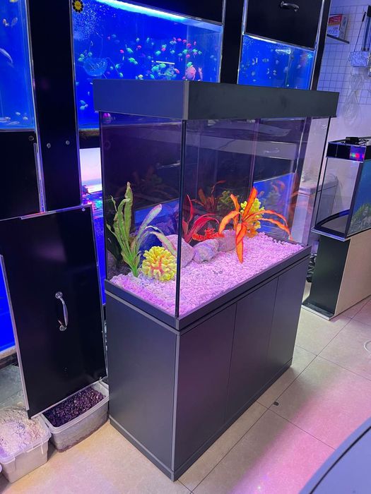 Akvarium New 315 litrlik