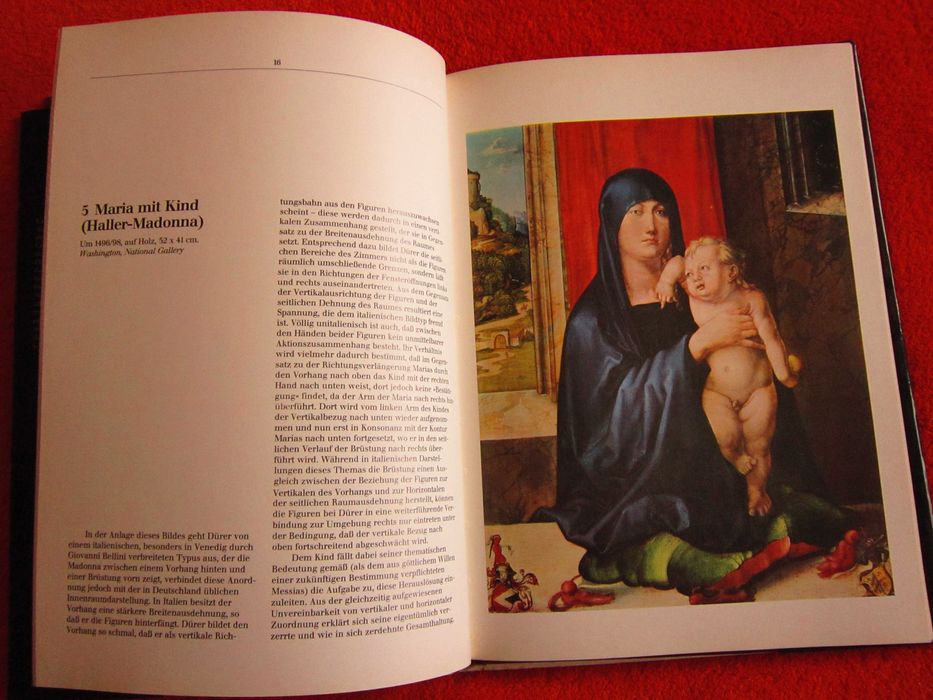 cadou rar Albrecht Durer book 1976 Germania