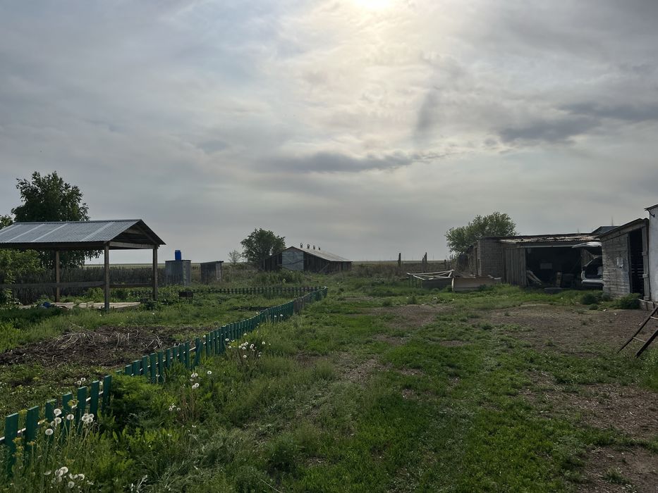 Продам дом и откормочную базу.