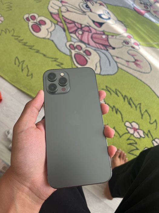 iPhone 12 Pro Max