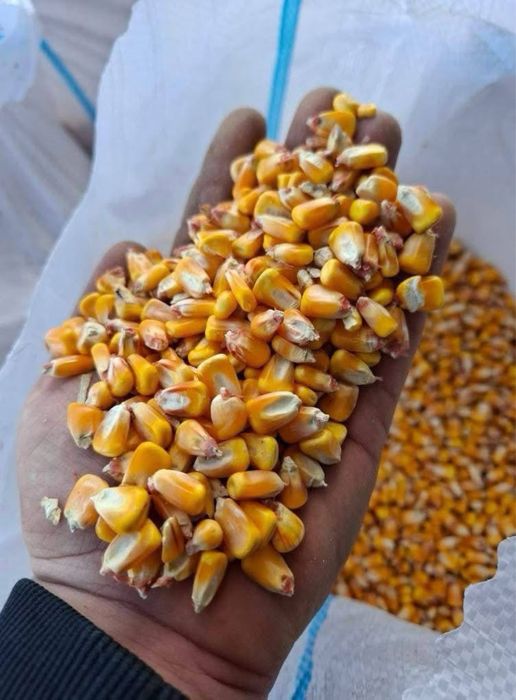 Vand cereale la sac sau vrac